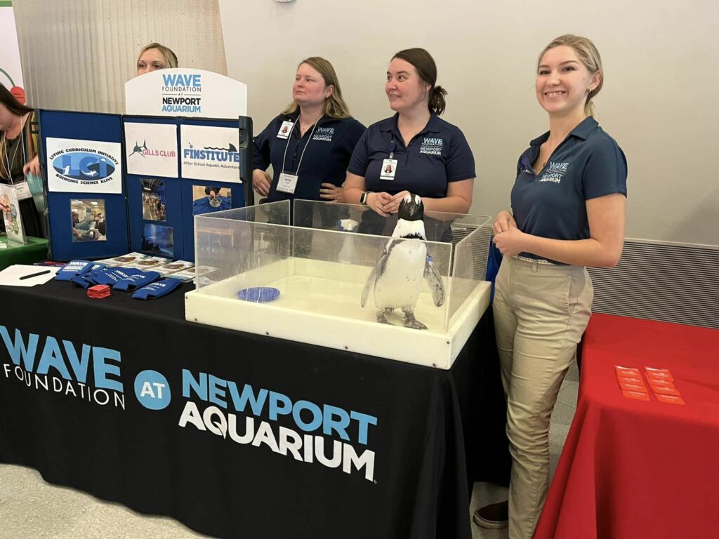 WAVE educators presenting information about a penguin in a clear display next to the table.