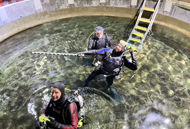 24.Apr.2025.diver03